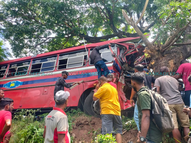 බසය මාර ගසක ගැටී 21 ක් රෝහලට