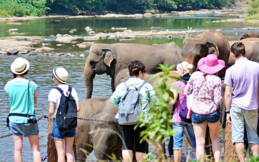 ජූලි මාසයේදී සංචාරකයින්ගෙන් ඩොලර් මිලියන 318ක ආදායමක්..